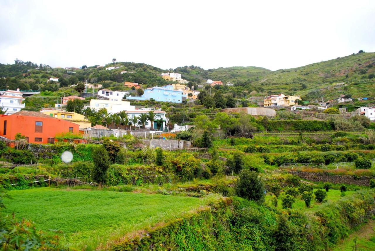 Canarian House Casa Esther In อิคอดเดลอสวินอส ภายนอก รูปภาพ